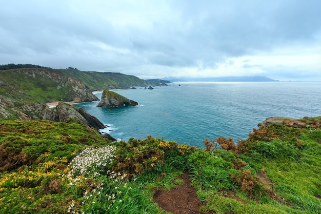 Paysage du soir Costa de Loiba avec des buissons en fleurs et des formations rocheuses près du rivage (Asturies, Espagne).