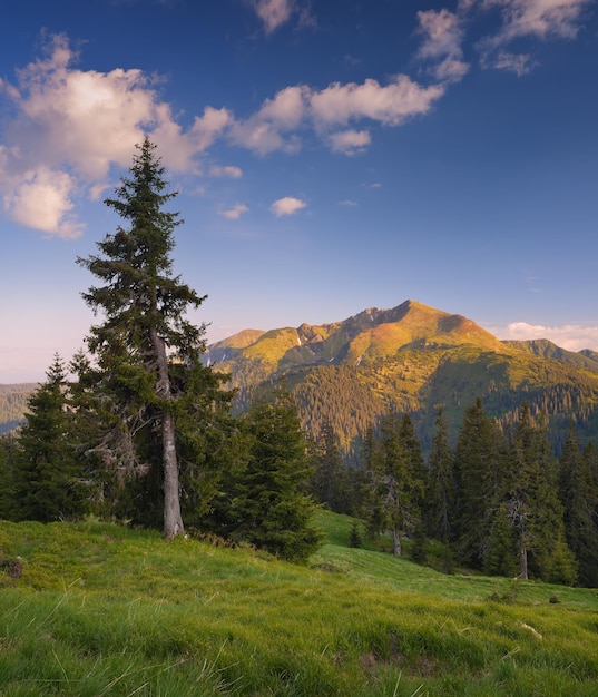 Paysage du soir dans les montagnes