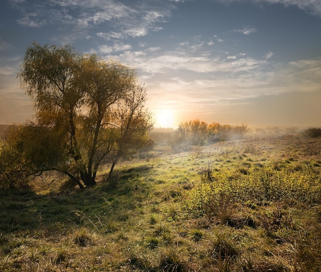 Paysage du soir à la fin de l'été avec du soleil