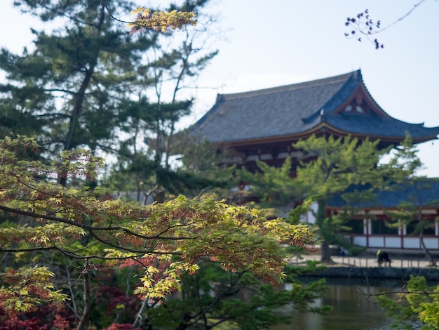 Paysage du temple Todai-ji à Nara, au Japon.