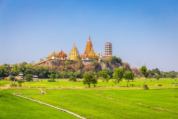 Paysage du temple Wat Tham Sua (temple de la grotte du tigre) avec des champs de riz au jasmin