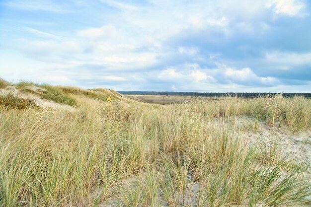 Paysage de dunes au Danemark au bord de la mer Voyage en mer Baltique Vacances sur la plage
