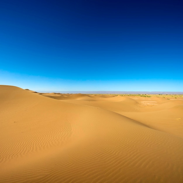 Paysage de dunes majestueux