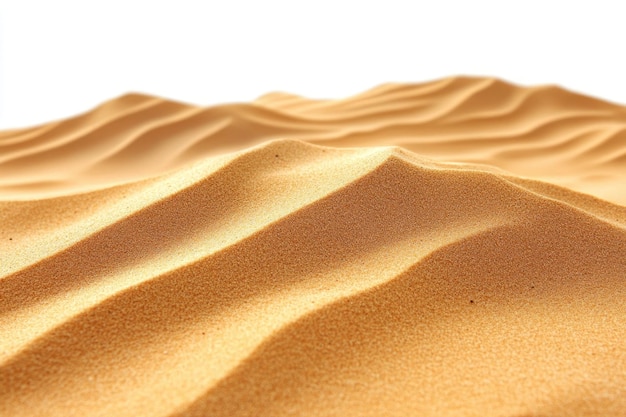 Le paysage des dunes de sable dorées du désert