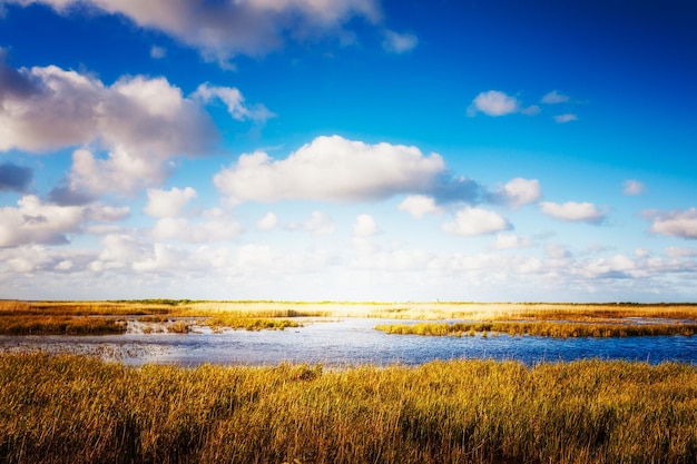 paysage de dunes