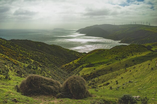 Photo paysage d'eau de mer