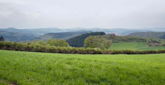 Le paysage de l'Eifel