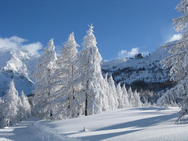 Paysage enchanté après de fortes chutes de neige