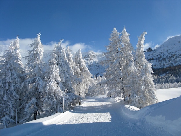 Paysage enchanté après de fortes chutes de neige