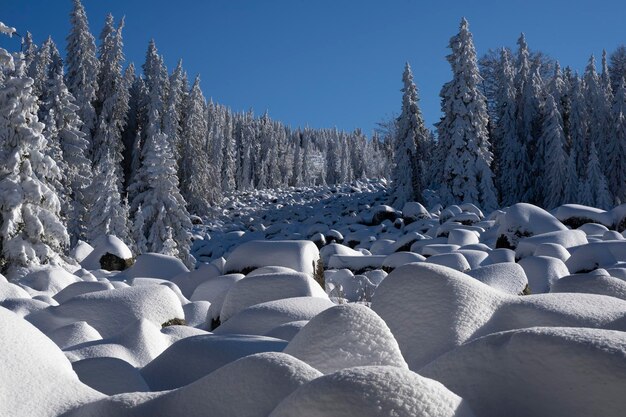 Photo paysage enneigé dans la montagne de vitosha près de sofia, la capitale de la bulgarie