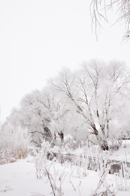 Paysage enneigé d'espaces ouverts près de la rivière temps de neige