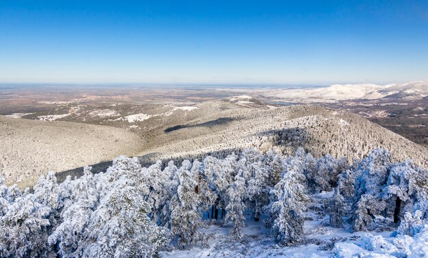 Paysage enneigé avec forêt gelée dans le parc national de la Sierra de Guadarrama, Espagne