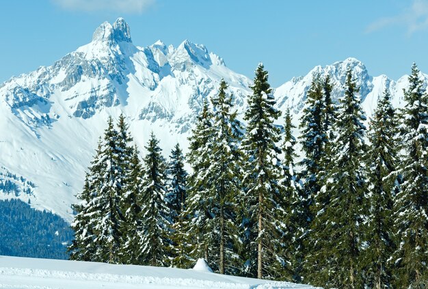 Paysage enneigé de la forêt de sapins de montagne d'hiver (haut de Papageno bahn - Filzmoos, Autriche)