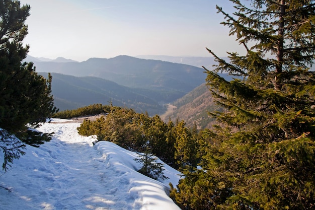 Paysage enneigé de montagne avec chemin