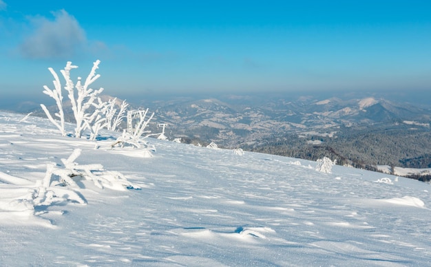 Paysage enneigé de montagne d'hiver