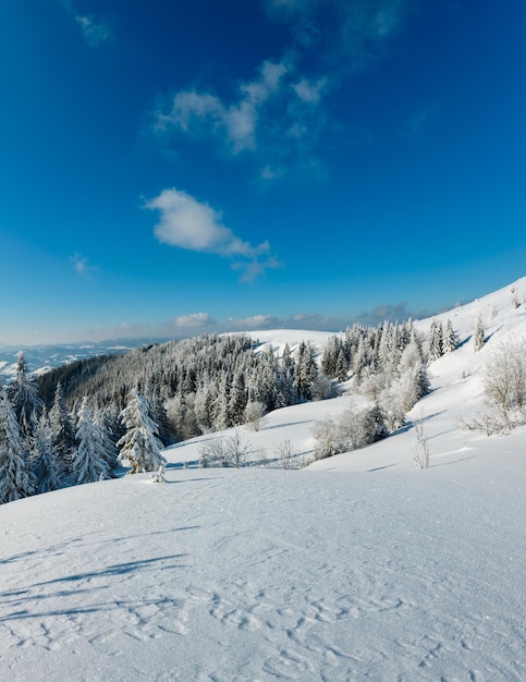 Paysage enneigé de montagne d'hiver