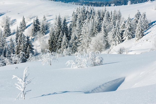 Paysage enneigé de montagne d'hiver