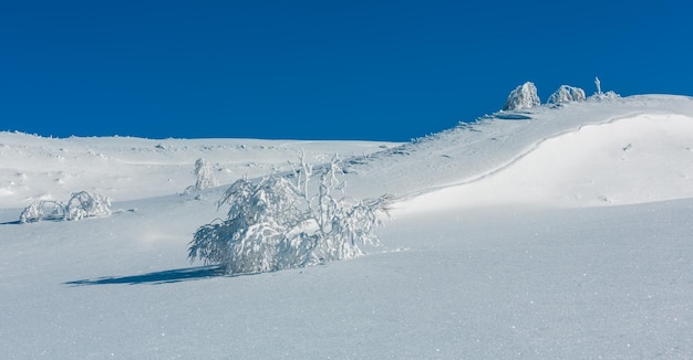 Paysage enneigé de montagne d'hiver