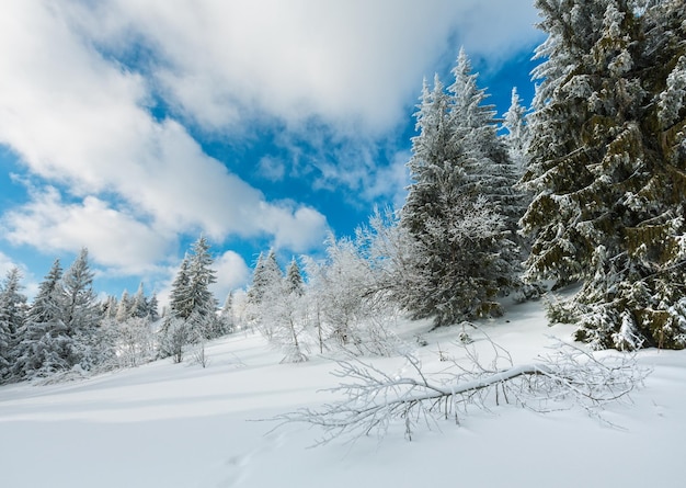 Paysage enneigé de montagne d'hiver