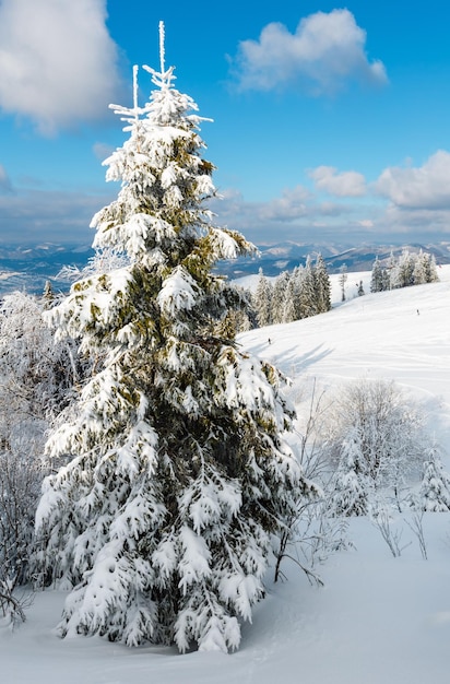 Paysage enneigé de montagne d'hiver