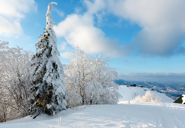 Paysage enneigé de montagne d'hiver