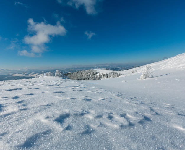 Paysage enneigé de montagne d'hiver