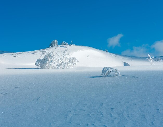 Paysage enneigé de montagne d'hiver