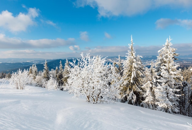 Paysage enneigé de montagne d'hiver