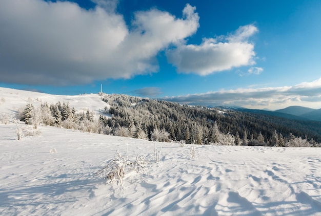 Paysage enneigé de montagne d'hiver