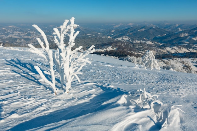 Paysage enneigé de montagne d'hiver