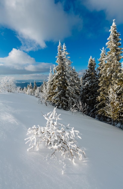 Paysage enneigé de montagne d'hiver