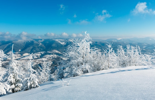 Paysage enneigé de montagne d'hiver