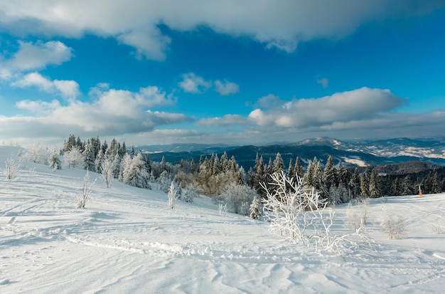 Paysage enneigé de montagne d'hiver