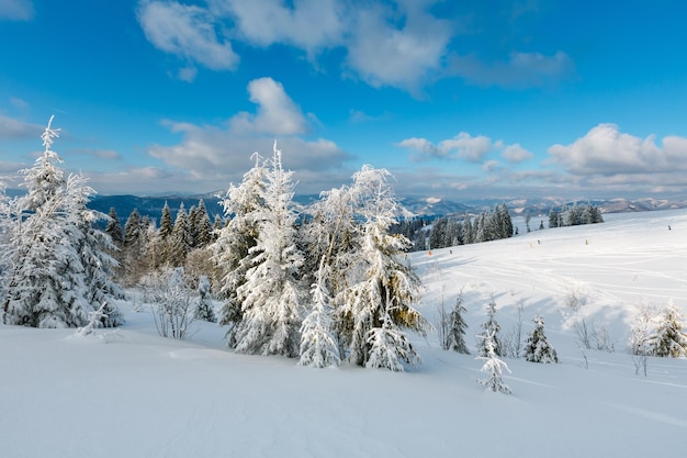 Paysage enneigé de montagne d'hiver