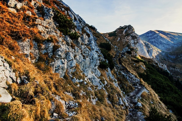 Paysage enneigé de montagne avec des rochers