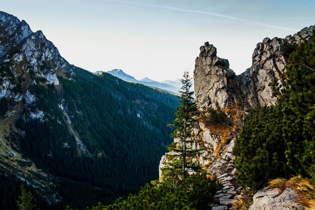 Paysage enneigé de montagne avec des rochers