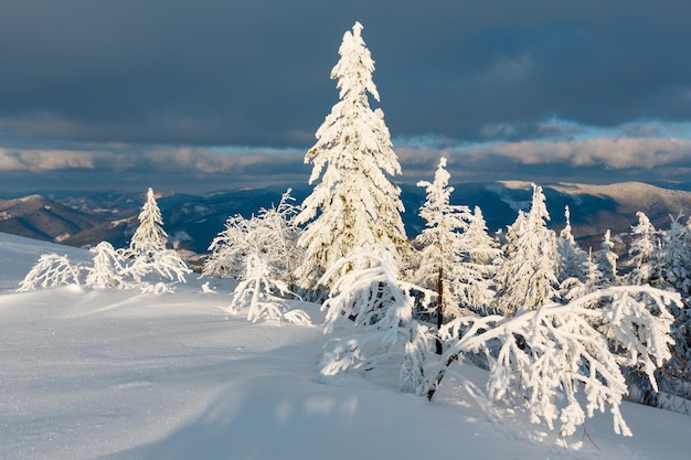 Paysage enneigé de montagne de soirée d'hiver