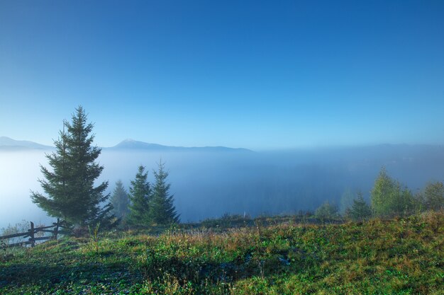 Paysage ensoleillé des Carpates