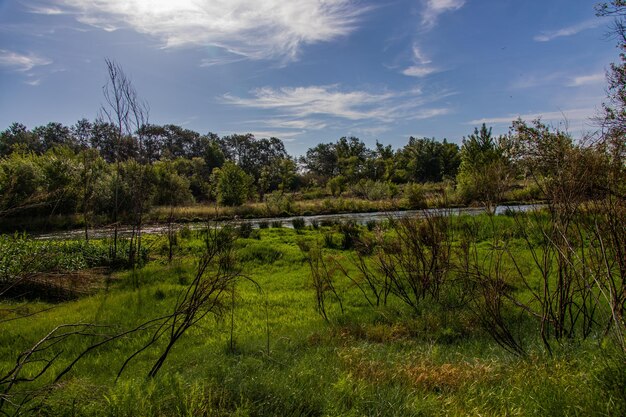 Photo paysage espagnol au bord de la rivière gallego en aragon par une chaude journée d'été ensoleillée avec des arbres verts et un ciel bleu