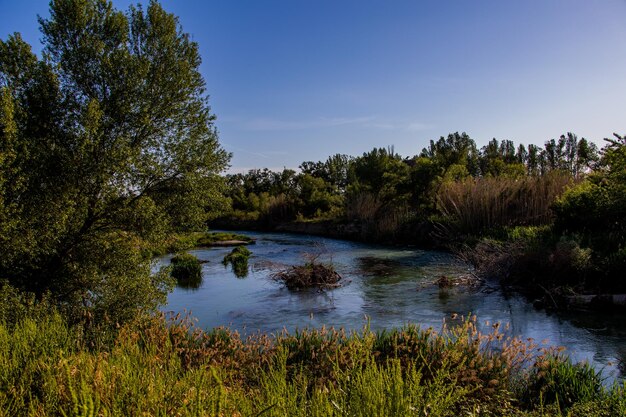 Photo paysage espagnol au bord de la rivière gallego en aragon par une chaude journée d'été ensoleillée avec des arbres verts et un ciel bleu