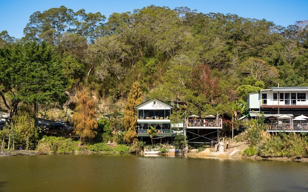 Paysage d'étang de bois de checheng, nantou, taiwan