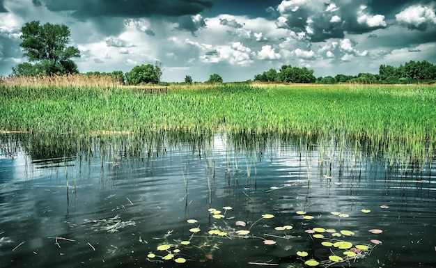 Le paysage de l'étang est magnifique.