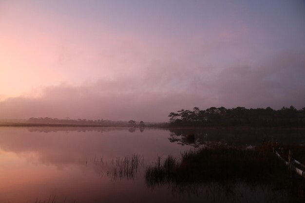 Paysage d&#39;étang nature avec brume de lever du soleil matin