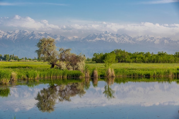 Paysage avec un étang