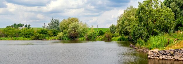 Paysage d'été avec des arbres verts près de la rivière