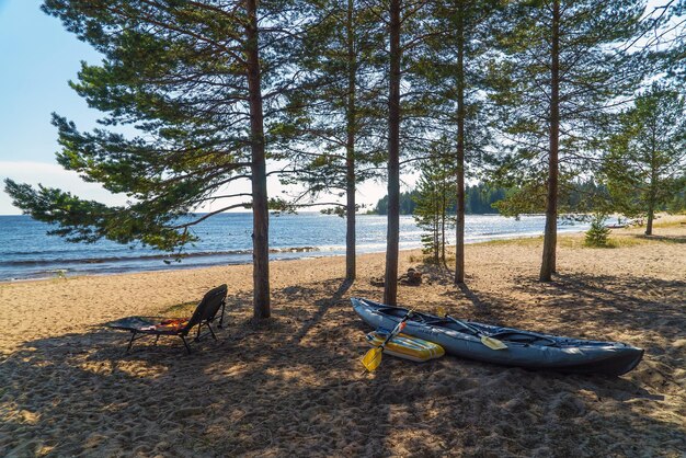 Paysage d'été au bord du lac Ladoga. Vidlitsa. Carélie.