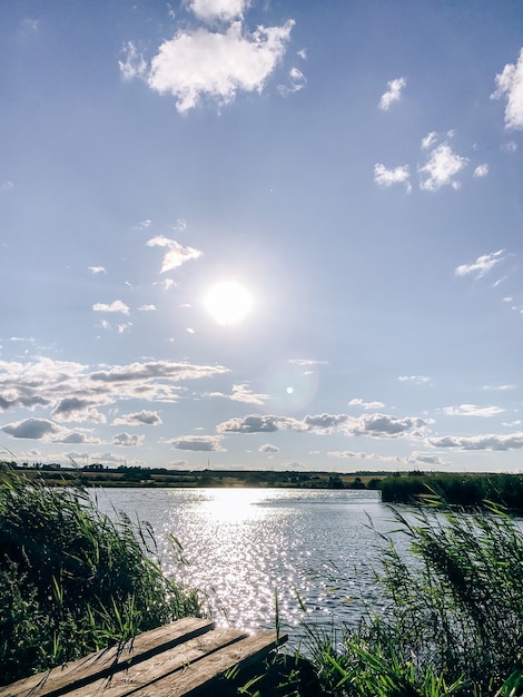 Paysage d'été au bord d'un étang au soleil couchant