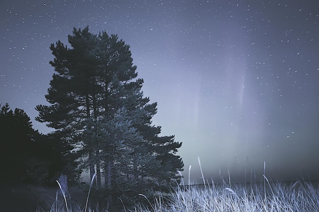 paysage d'été aurores boréales, vue sur l'éclat du ciel, nature nocturne abstraite