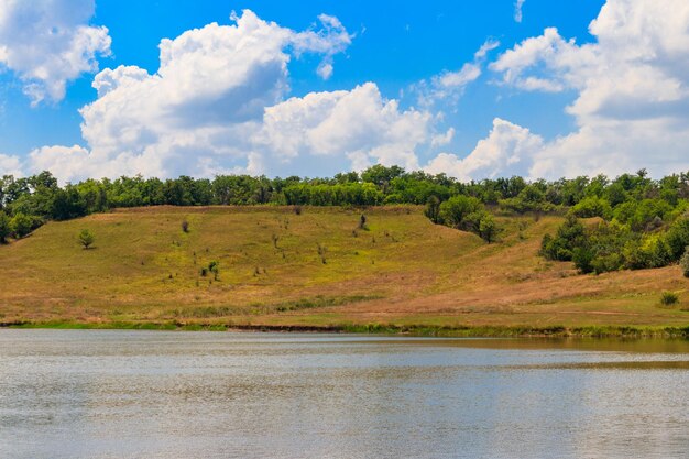 Paysage d'été avec de beaux arbres de collines de prés verts de lac et de ciel bleu