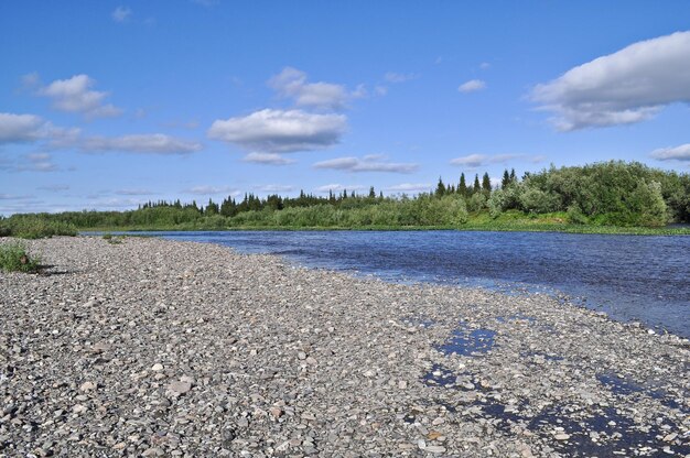 Paysage d'été des berges nord